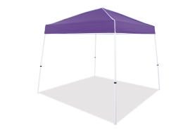 TOP ONLY, PURPLE